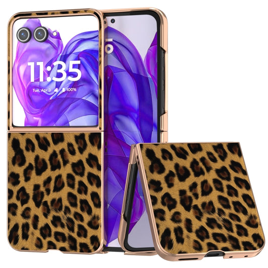 For Motorola Razr 50 Ultra Nano Plating Leopard Print Phone Case(Gold) - Motorola Cases by buy2fix | Online Shopping UK | buy2fix