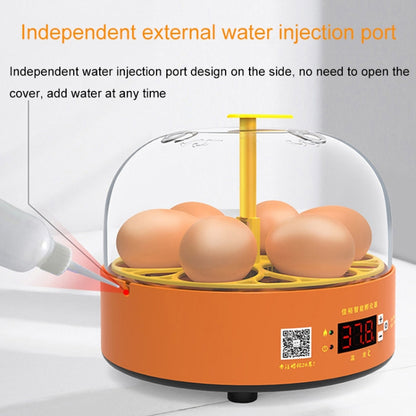 6-Eggs Small Household Experimental Children Smart Chicken Incubators, Spec: Manual EU Plug - Incubators by buy2fix | Online Shopping UK | buy2fix