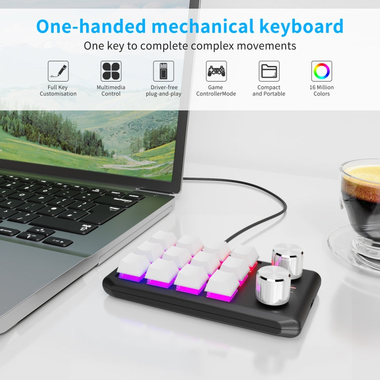 12 Keys Wired With RGB Lights Customized Office Keyboard Shortcut Keys Computer Audio Volume Control(White) - Mini Keyboard by buy2fix | Online Shopping UK | buy2fix