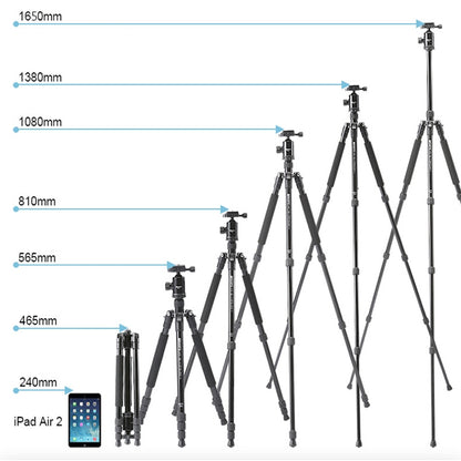 TRIOPO 554 Adjustable Portable  Aluminum Alloy Tripod with D-2A Ball Head for SLR Camera - Tripods by TRIOPO | Online Shopping UK | buy2fix