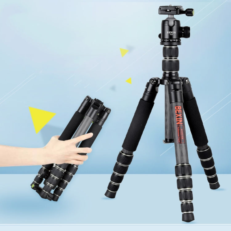 BEXIN BX285C K36 Portable Carbon Fiber Tripod for Dslr Digital DV Camcorder - Tripods by BEXIN | Online Shopping UK | buy2fix