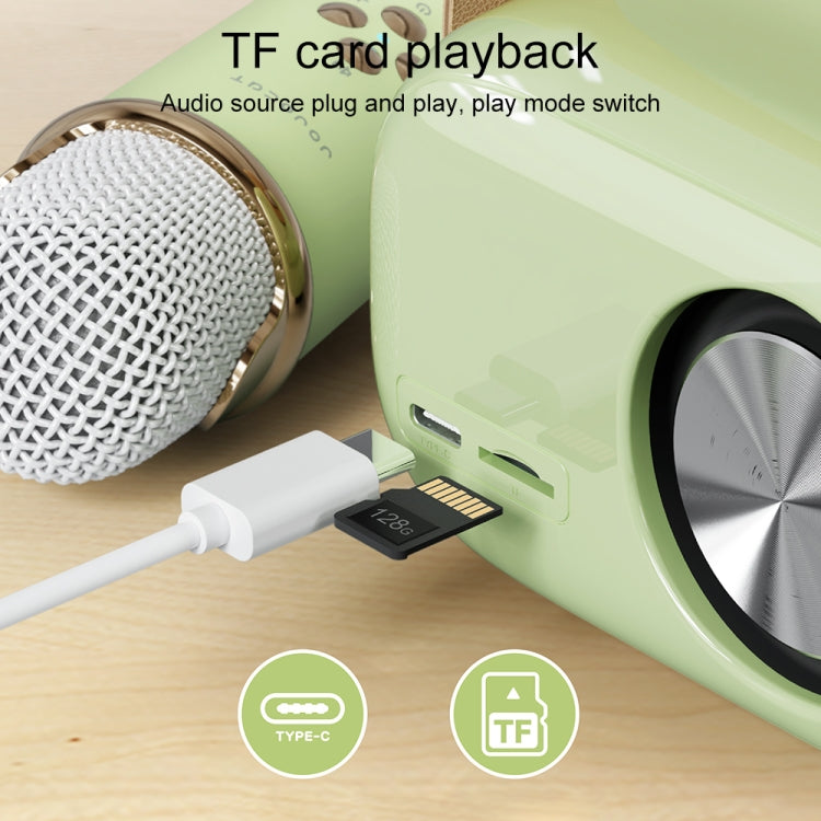 C20 Plus Multifunctional Karaoke Bluetooth Speaker With Microphone (Green) - Microphone by buy2fix | Online Shopping UK | buy2fix