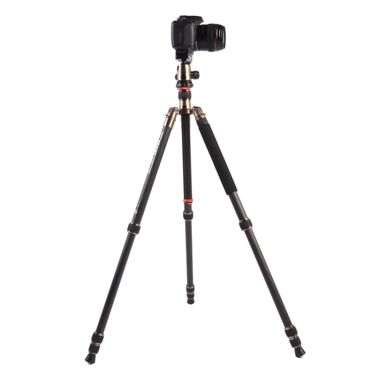 Triopo GT-2504X8.C Adjustable Portable Carbon Fiber Tripod with B-1 Aluminum Ball Head for Canon Nikon Sony DSLR Camera - Tripods by TRIOPO | Online Shopping UK | buy2fix