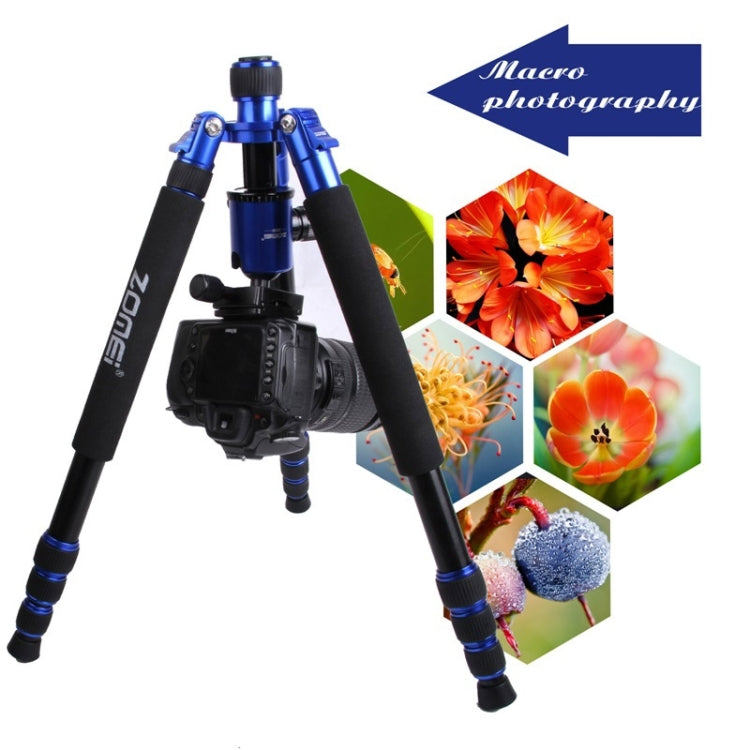 ZOMEI Z888 Portable Professional Travel Aluminium Tripod Monopod with Ball Head for Digital Camera(Blue) - Camera Accessories by ZOMEI | Online Shopping UK | buy2fix