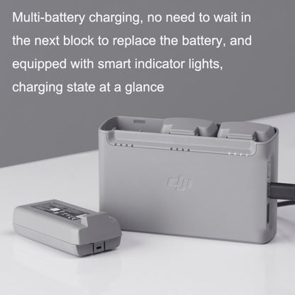 Original DJI Mini 2 / Mini SE Two-way Charging Butler(Gray) - Cable & Adapter by DJI | Online Shopping UK | buy2fix