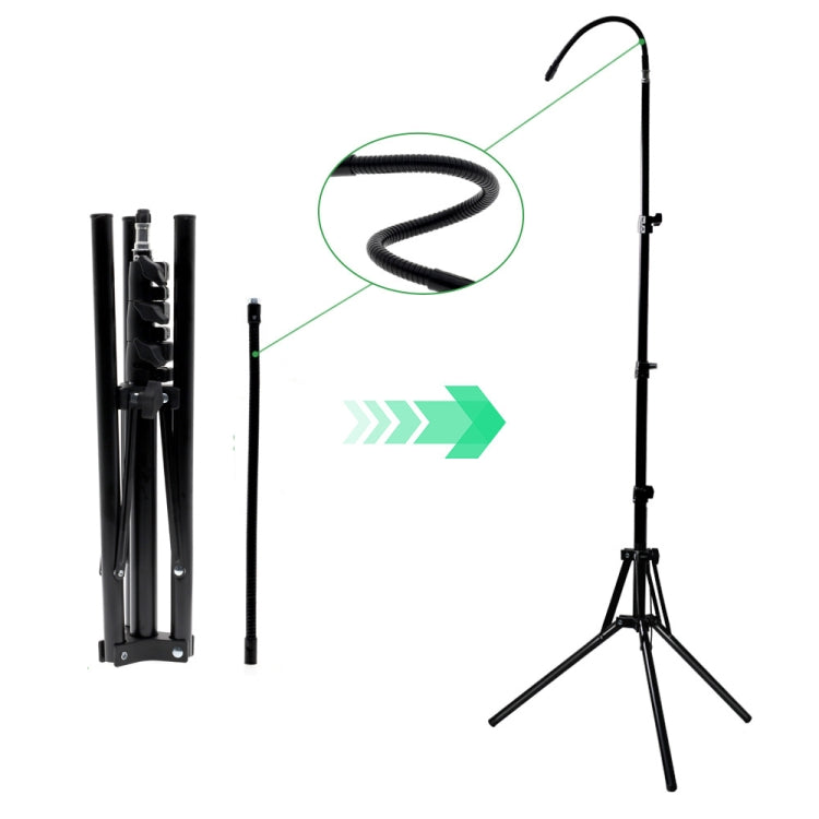 1.6m Live Photography Light Stand Thickened Anti-folding Tripod With 30cm Hose - Consumer Electronics by buy2fix | Online Shopping UK | buy2fix