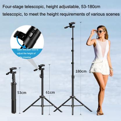 APEXEL APL-JJ070 Outdoor Phone Live With Yundai SLR Portable Landing Selfie Rod Tripod(Black) - Stand by APEXEL | Online Shopping UK | buy2fix